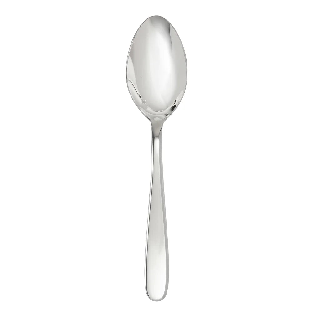 Stainless Steel Serving Spoon - 9