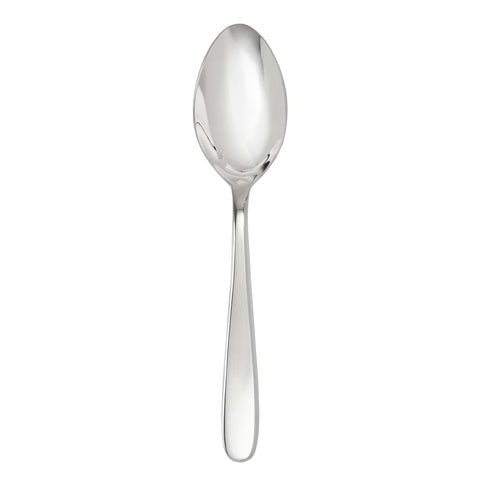 Stainless Steel Serving Spoon - 9